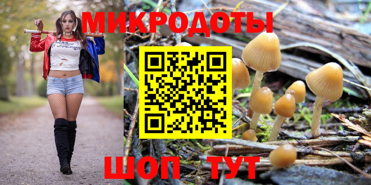 Псилоцибиновые грибы Magic Shrooms Комсомольск-на-Амуре