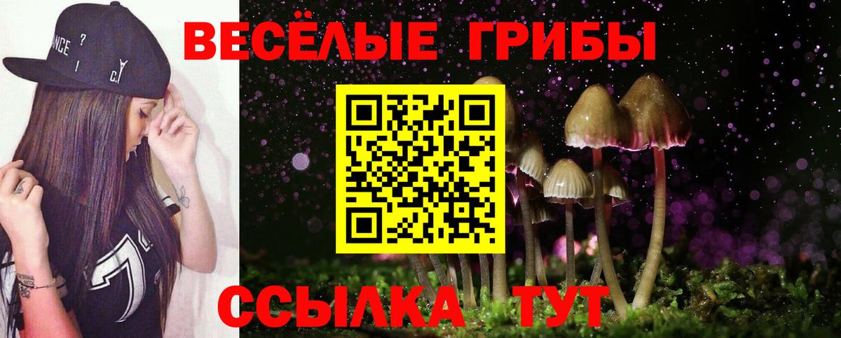 Комсомольск-на-Амуре  Псилоцибиновые грибы мицелий  Вход с VPN  Галлюциногенные грибы Magic Shrooms 